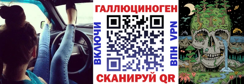 OMG ссылки Тбилисская Галлюциногенные грибы Psilocybine cubensis